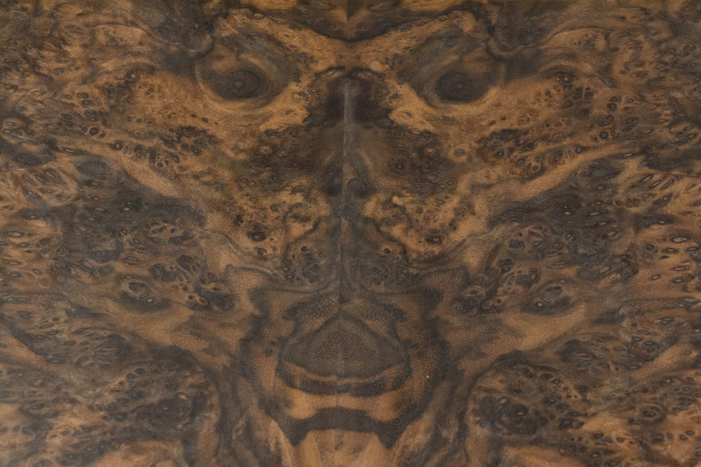 Watch Box Six - Spotted Gum and Walnut Burl